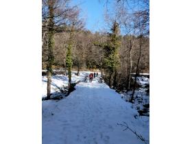 photo coins arrondis