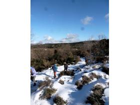 photo coins arrondis