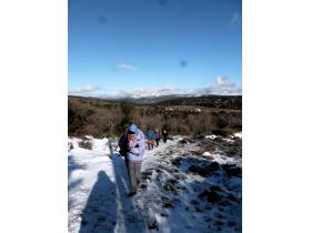 photo coins arrondis