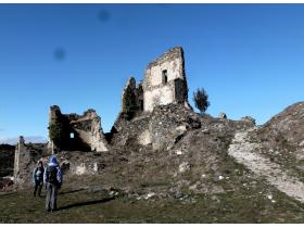 photo coins arrondis