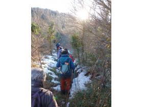 photo coins arrondis