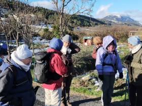 photo coins arrondis