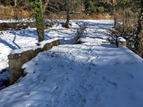 photo coins arrondis