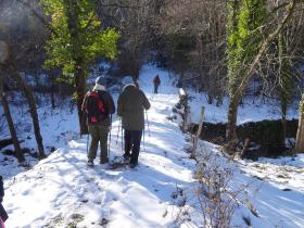 photo coins arrondis