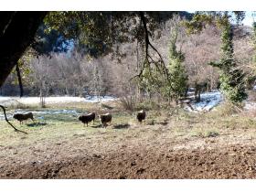 photo coins arrondis