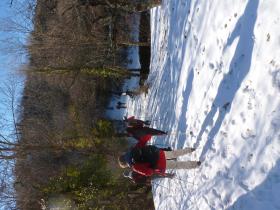 photo coins arrondis