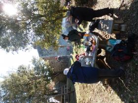 photo coins arrondis