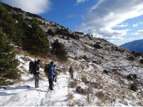 photo coins arrondis