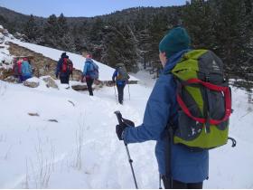 photo coins arrondis