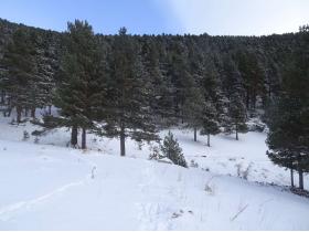 photo coins arrondis