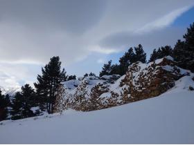 photo coins arrondis