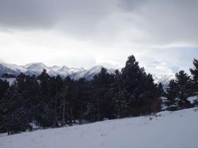 photo coins arrondis