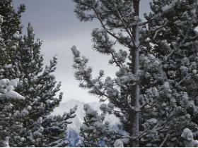 photo coins arrondis