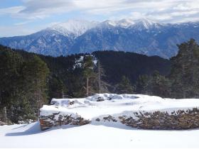 photo coins arrondis