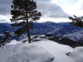 photo coins arrondis