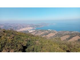 photo coins arrondis