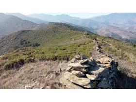 photo coins arrondis