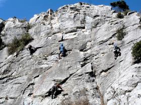 photo coins arrondis