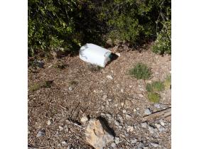 photo coins arrondis