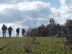 photo coins arrondis