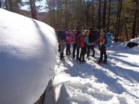 photo coins arrondis