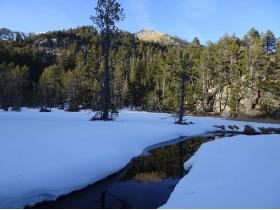 photo coins arrondis