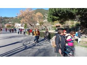 photo coins arrondis