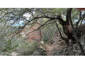 photo coins arrondis