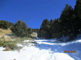 photo coins arrondis