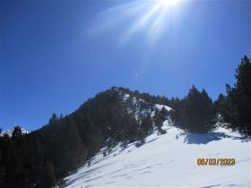 photo coins arrondis