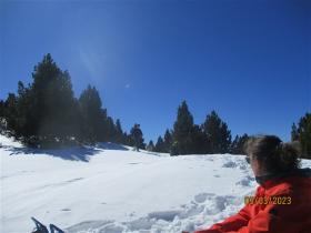 photo coins arrondis