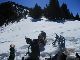 photo coins arrondis