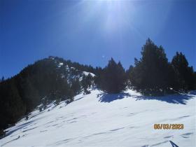 photo coins arrondis