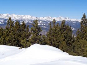 photo coins arrondis