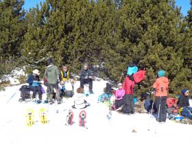 photo coins arrondis