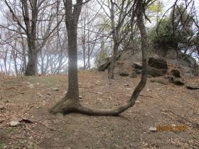 photo coins arrondis