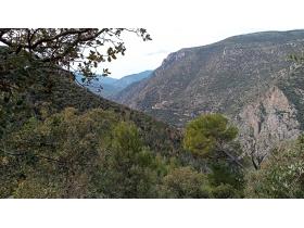 photo coins arrondis