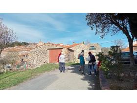 photo coins arrondis