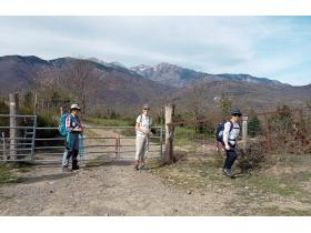 photo coins arrondis