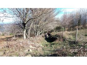 photo coins arrondis