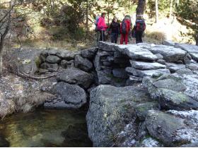 photo coins arrondis