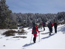 photo coins arrondis