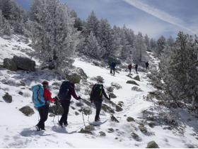 photo coins arrondis