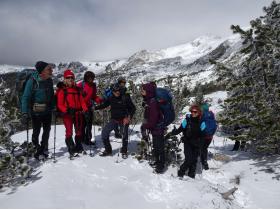 photo coins arrondis