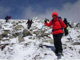 photo coins arrondis