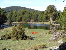 photo coins arrondis