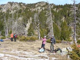 photo coins arrondis