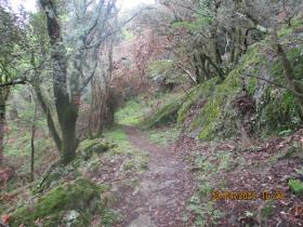 photo coins arrondis