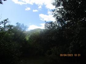 photo coins arrondis