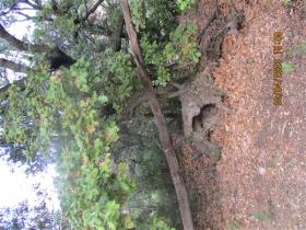 photo coins arrondis